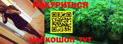 каннабис Будённовск