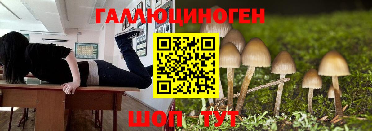 Галлюциногенные грибы прущие грибы Сыктывкар