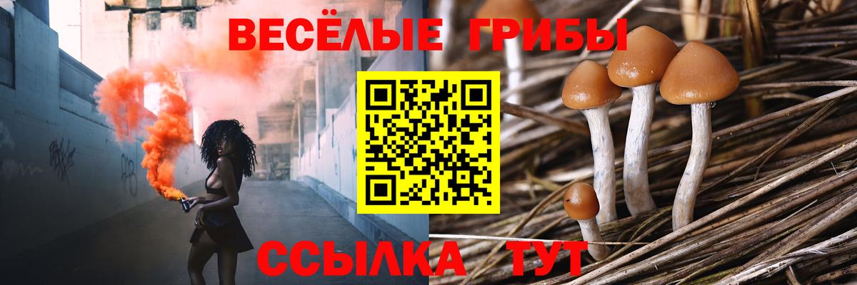 Сыктывкар  Псилоцибиновые грибы MAGIC MUSHROOMS  Вход с VPN 